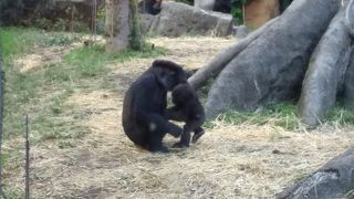 何度も行っても楽しい