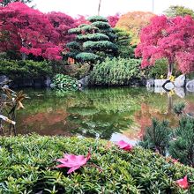 日本庭園もあります