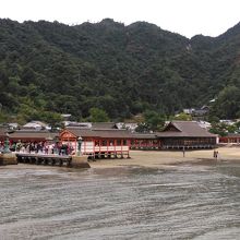午前中の干潮の厳島神社