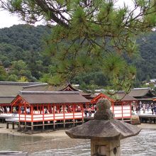 干潮時の厳島神社