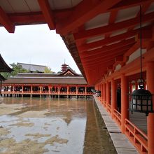 満潮近くなり海水が流れてくる様子