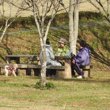 散歩の途中で一休み