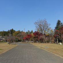 一部で紅葉が見られました