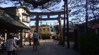 猫ちゃんと、神社から見える江ノ電が楽しみな神社