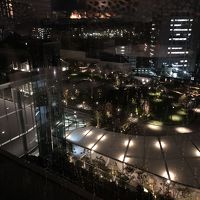 レストランからの夜のヒルズガーデン