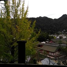 厳島神社を眺められる