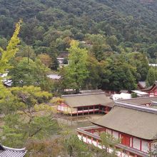 厳島神社を眺められる