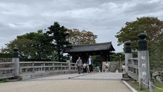 ここから始まりです。