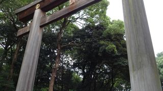 立派な大鳥居です