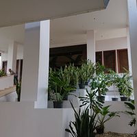 メインエントランスです。広くて開放感あり。