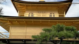 ゴールデンテンプル