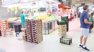 見ていて楽しい