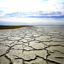 岸近くにできる、塩の盛り上がり模様