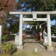 参道の雰囲気がいい