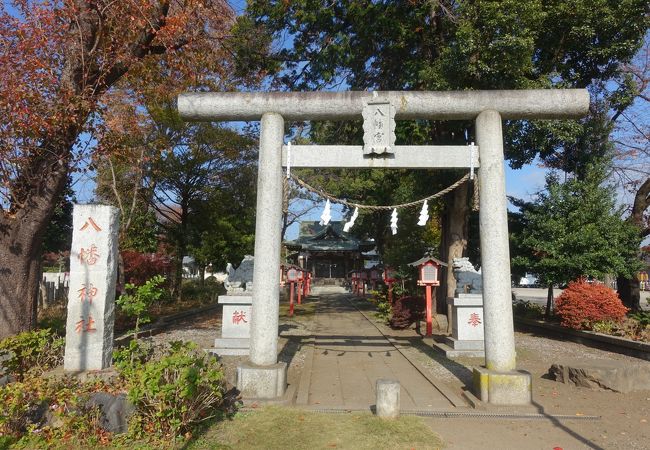 参道の雰囲気がいい