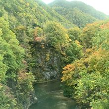 紅葉かっぱバスの車内から見た定山渓の紅葉