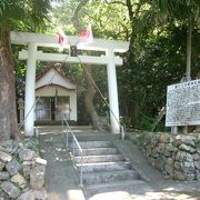 白い鳥居に亜熱帯植物に囲まれた簡素な拝殿
