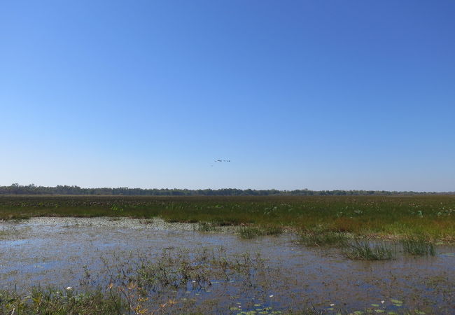 マムカラ・バードサンクチュアリ
