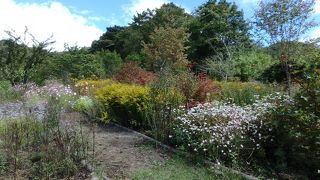 自然な感じの庭園