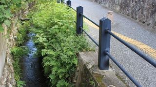 光明禅寺の前を流れる小川