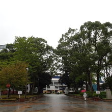 日本大通り側の入口