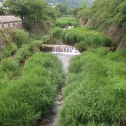 のどかな川