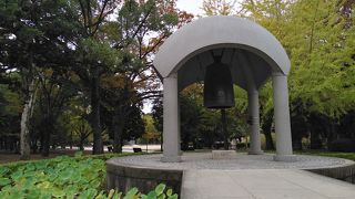 池に植えられた大賀ハス