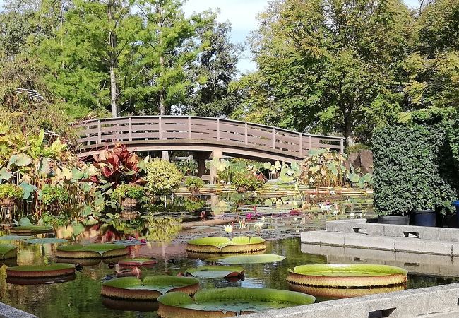 草津市立水生植物公園みずの森 クチコミ アクセス 営業時間 草津 滋賀 フォートラベル