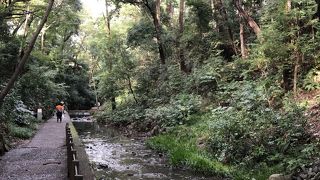 都会にもあった自然スポット