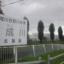 まだまだめんこい風情ですね( ´∀｀ )