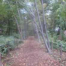 並行して続く遊歩道の秋の様子