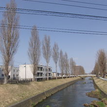 2015年の春はこんな感じでした。