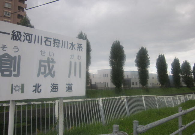 創成川通りのポプラ並木 クチコミ アクセス 営業時間 札幌 フォートラベル