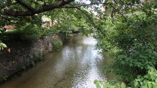 風情のある光景が見られる
