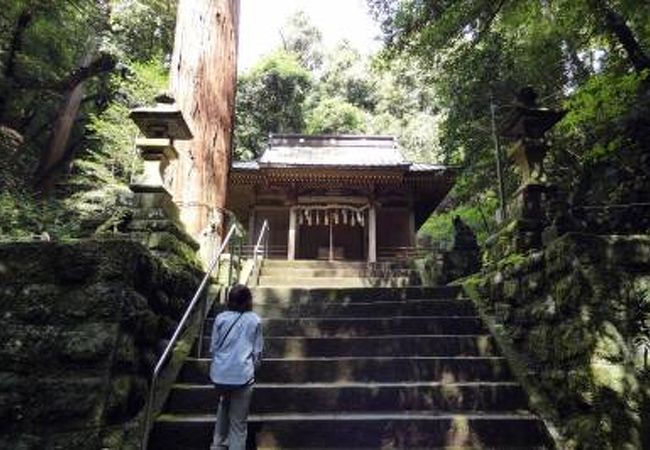 八幡宮来宮神社　大江院