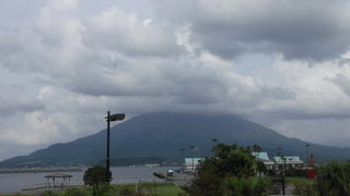 鹿児島県のシンボル