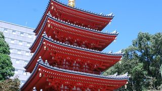 国内最大級の木造の仏像