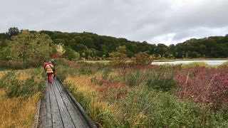 約30分で気軽に一周できる