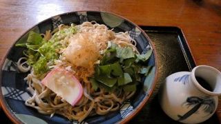 そば処 恋路亭の昼食　三島市佐野体験農園 キュウリ・大根・晩成玉葱の収穫　