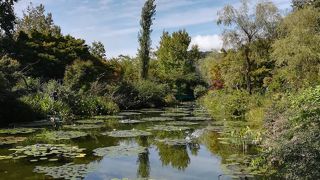 まさに絵のよう！