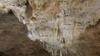 アトラクションの一つのように感じました