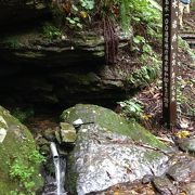 気持ちが良い山道