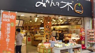 道後のミカンショップ