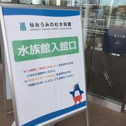 なぜかリスがいます