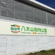 八木山動物公園駅からすぐ