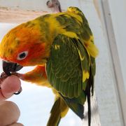 動物との距離が近くて楽しい！！