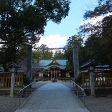 やっと見えてきました。