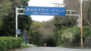 樹木に囲まれています