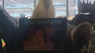 大自然触れ合いミュージアム