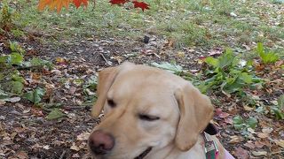 池をバックに写真